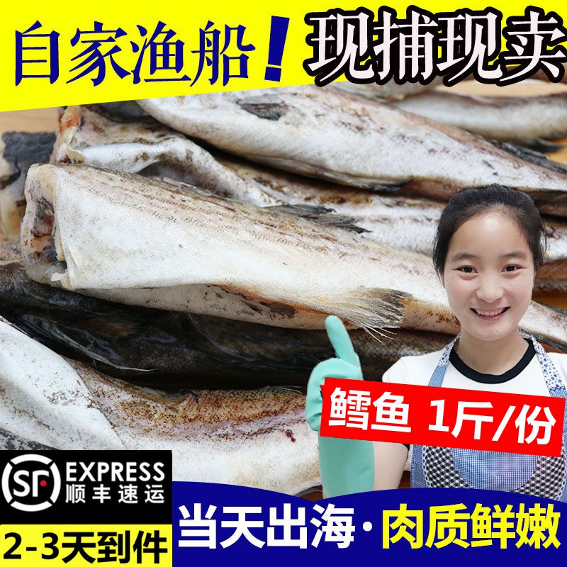 鳕鱼整条新鲜海鲜水产冷冻无头鱼银狭鳕鱼东北明太鱼海鱼雪鱼1斤