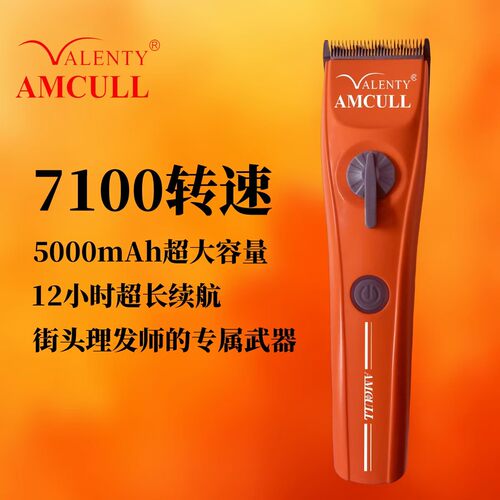 利桥818电推剪待机12小时发廊家用USB充电式理发器