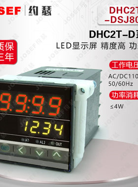 DHC2T-DSJ800智能温控仪；