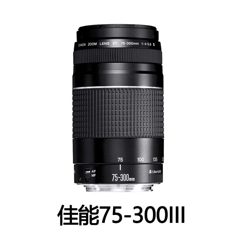 佳能75-300长焦镜头射月打鸟