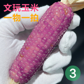 文玩宝石玉米毛料手把件迷你宝石血丝玉米盲盒