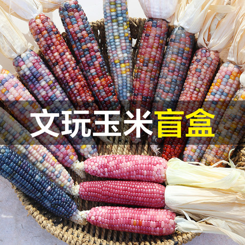 文玩玉米七彩宝石盲盒