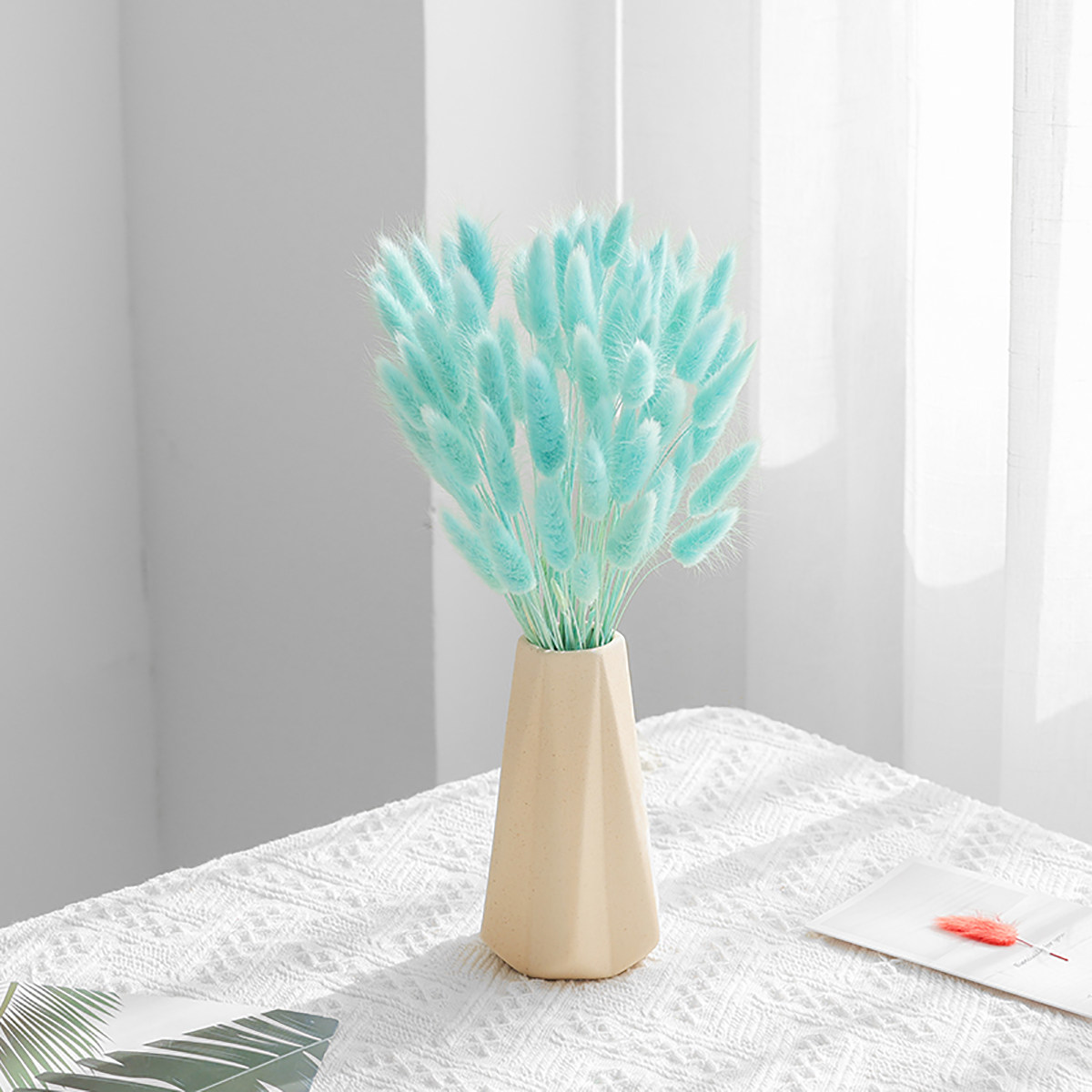 兔尾草干花花束装饰摆件ins网红芦苇客厅摆设插花摄影道具diy材料