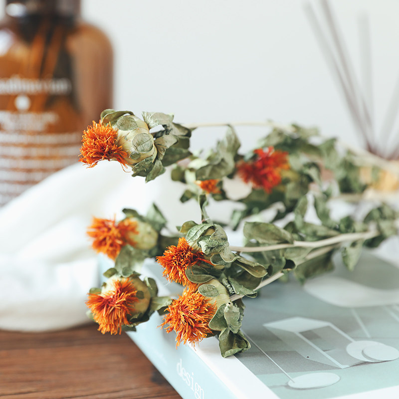 菠萝花鲜花自然风干干花小清新客厅卧室家居装饰摆件拍照道具送礼