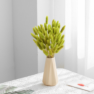 轻奢兔尾草永生花干花花束摆件插花真花天然风干装饰客厅居家摆设