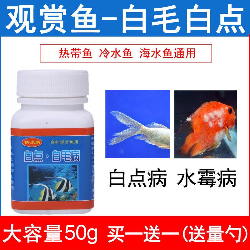 白点净水霉克星专治小瓜虫观赏鱼身上长白毛白点病专用水族热带鱼