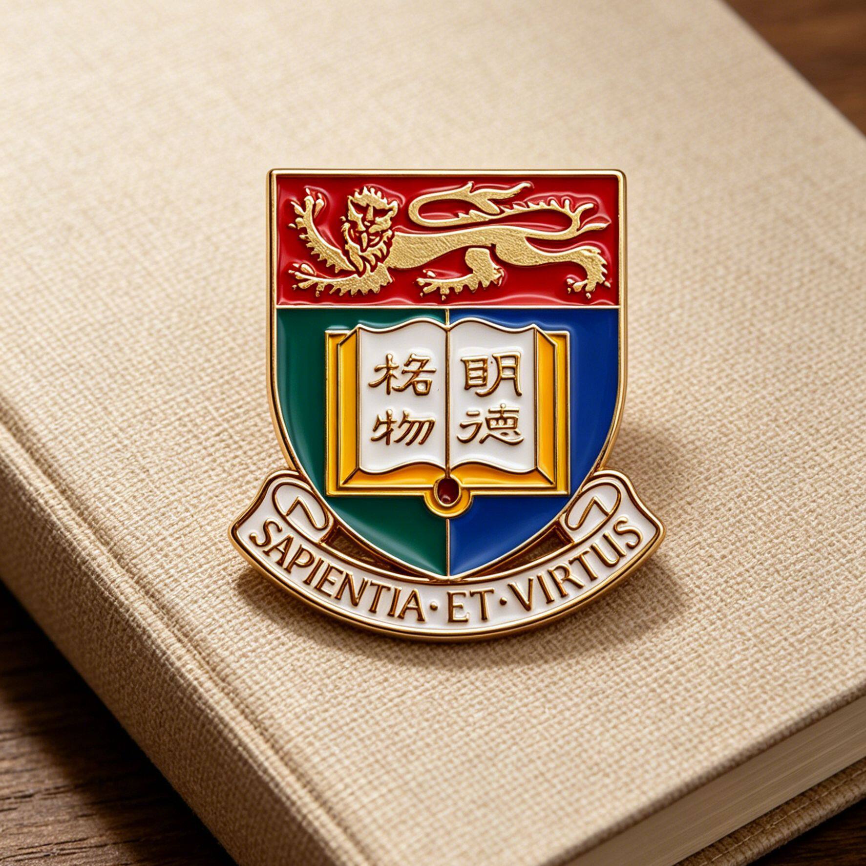 香港大学徽章大学胸针纪念品背包装饰品收藏金属胸章学校小礼品