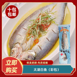 太湖白鱼(彩包)新鲜腌制翘嘴白条鱼酒店饭店餐饮特色半成品商用