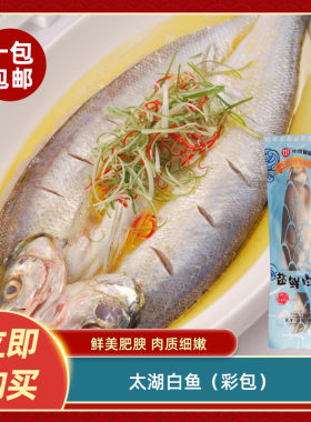 太湖白鱼（彩包）新鲜腌制翘嘴白条鱼酒店饭店餐饮特色半成品商用