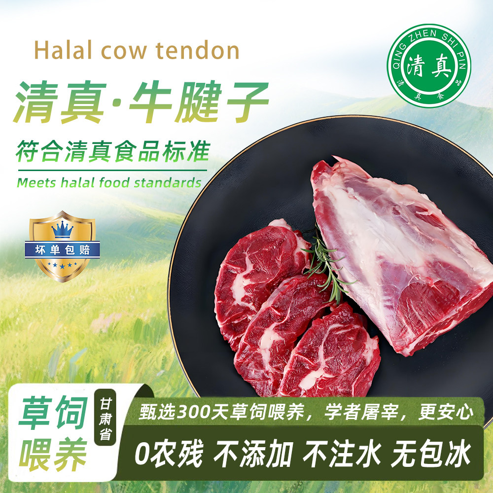 清真西北牛腱子4斤前腱甘肃农家散养高原黄牛肉新鲜冷冻带金钱腱
