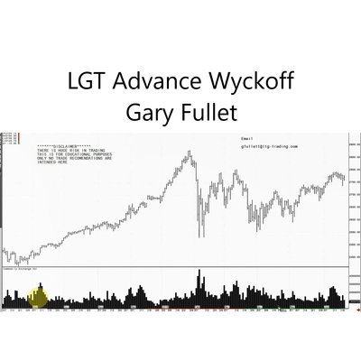 Advance Wyckoff Trading Course - Gary Fullet