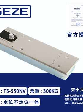 德国盖泽地弹簧TS550NV重型有无框玻璃门300kg不锈钢面板原装实拍