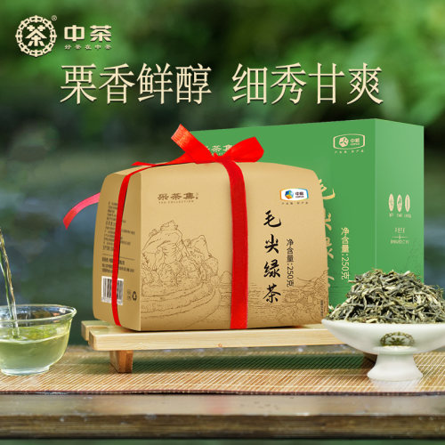 中茶特级毛尖绿茶250g