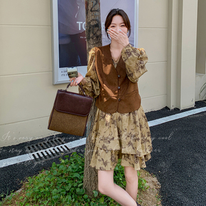 咖色法式复古马甲淡人套装女2025秋季气质设计感印花A字裙两件套,高级灰冬裙搭配图片图片