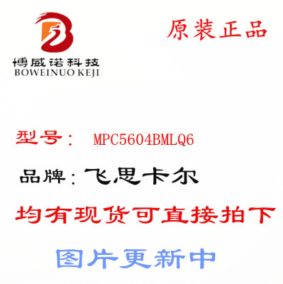 POWERPC MPC5604BMLQ6 SPC5604BF2MLQ6 P144开发板学习板单片机