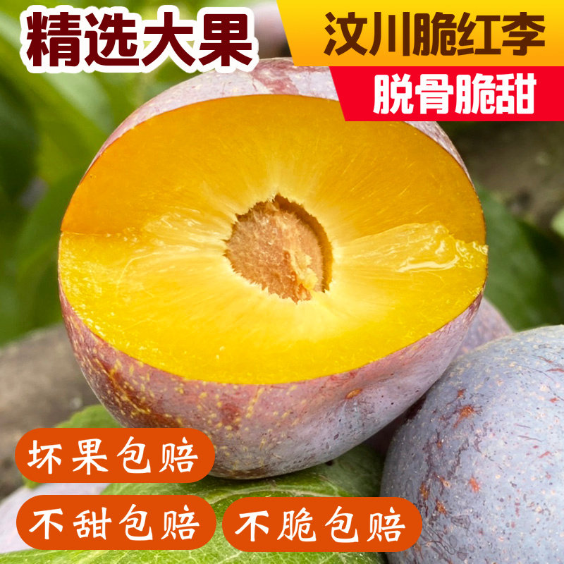 新鲜脆甜脱骨李子汶川脆红李