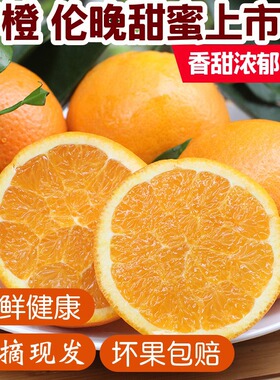 伦晚脐橙湖北秭归春橙手剥甜橙子新鲜采摘时令新鲜水果整箱10斤