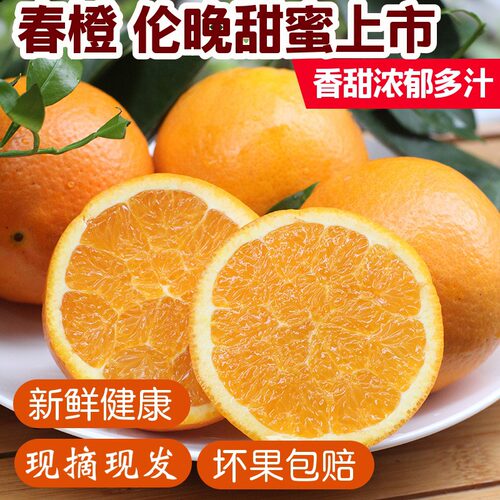 湖北秭归伦晚脐橙新鲜采摘香甜