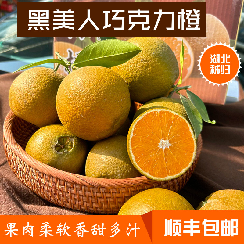 香甜黑美人澳洲巧克力橙当季新鲜水果秭归棕橙子产地直发稀有品种