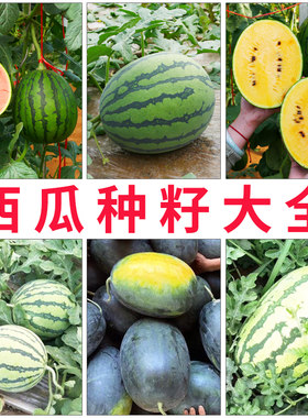 西瓜种籽大全四季早熟