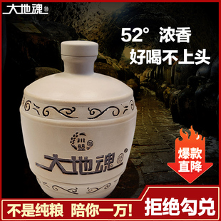 大地魂洞藏老酒原浆5斤装 送礼品 52度纯粮食白酒浓香型窖藏酒坛装