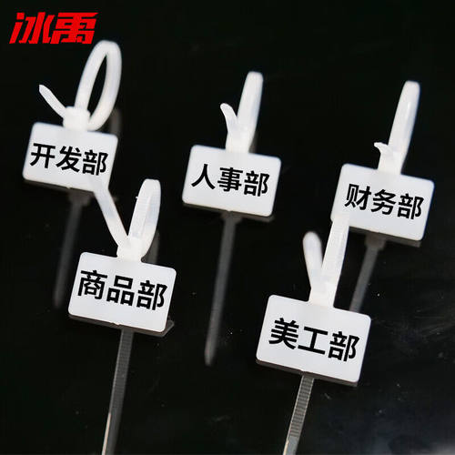 冰禹标签吊牌扎带多功能理线带绑带自锁式尼龙扎带2.5*100mm白色(