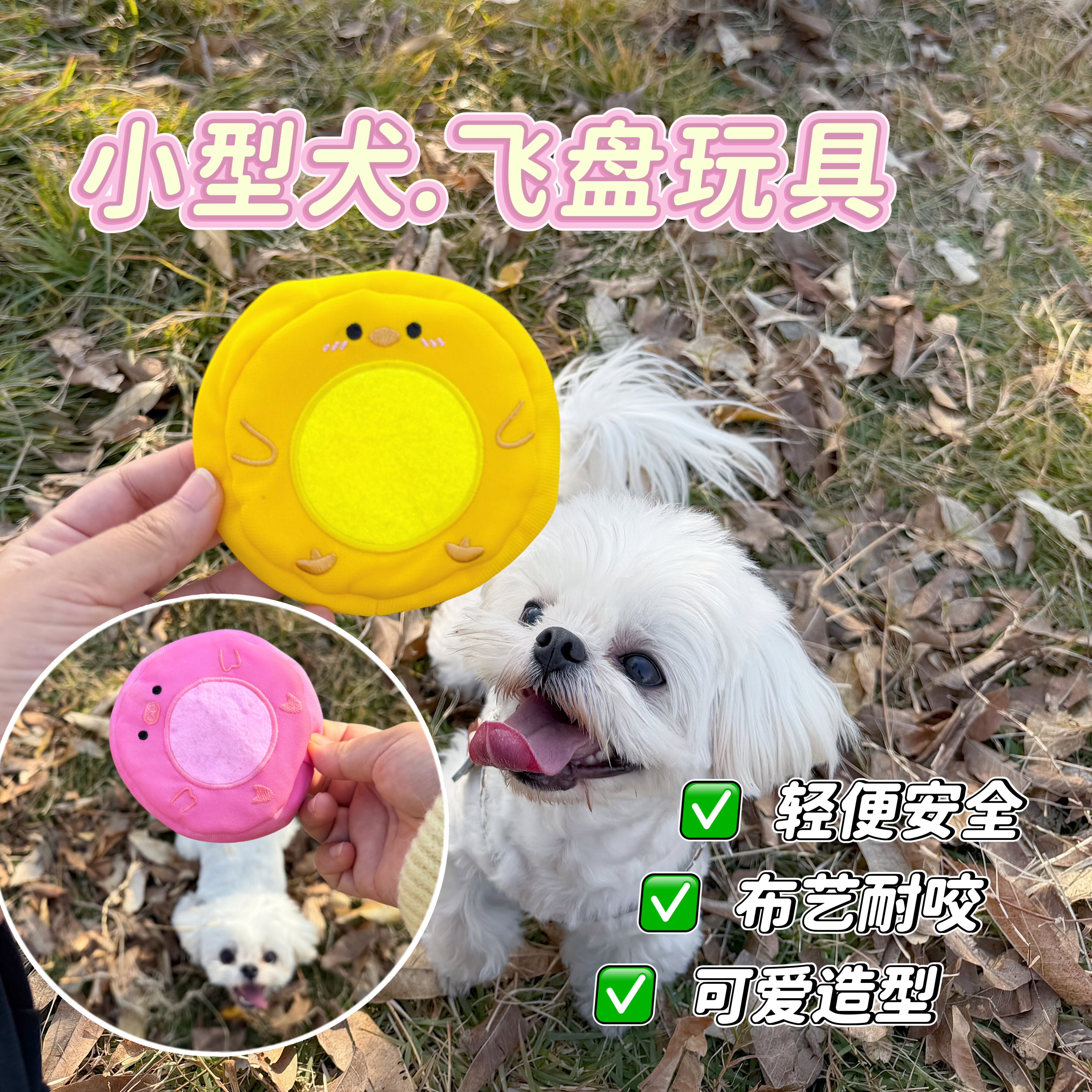 小型犬迷你飞盘玩具巡回解闷约克夏马尔济斯磨牙耐咬互动狗狗玩具,宠物/宠物食品及用品,发声玩具,淘宝优惠券,粉丝福利购,淘宝优惠卷