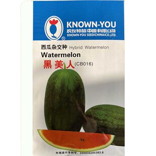 台湾农友黑美人西瓜种子早熟脆甜耐裂含糖度高春夏秋冬季四季播种