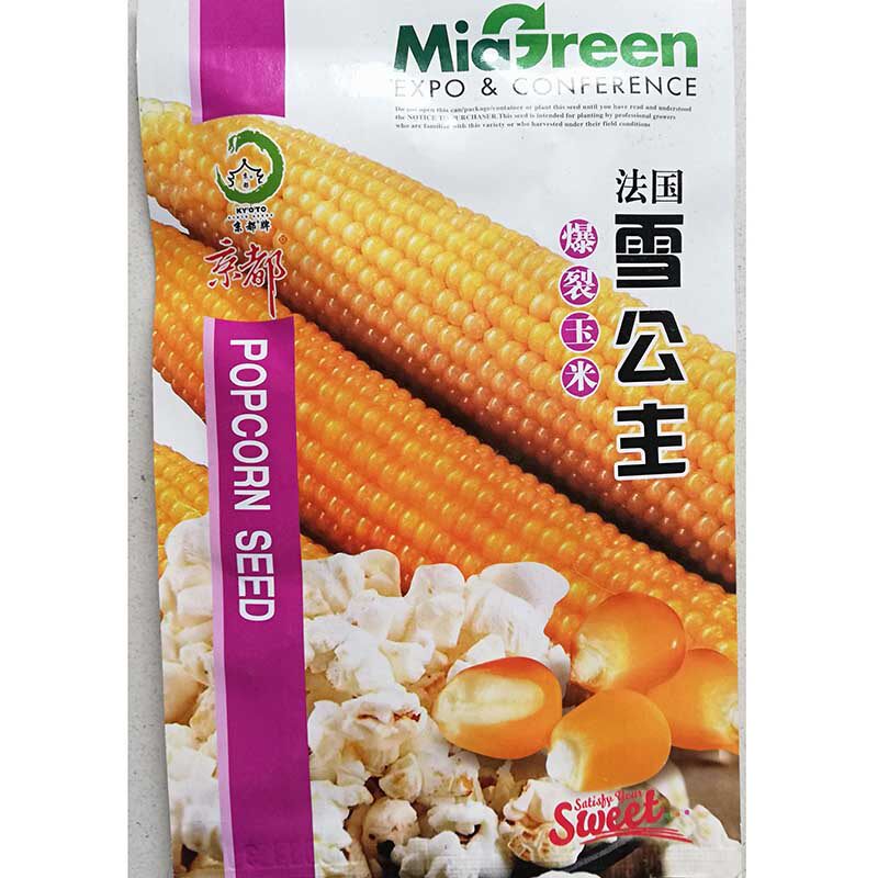 爆花玉米种春夏秋播爆米花专用 爆裂小玉米种籽 高产早熟甜脆可口