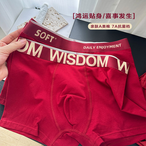 男士红运A类婴儿棉内裤本命年