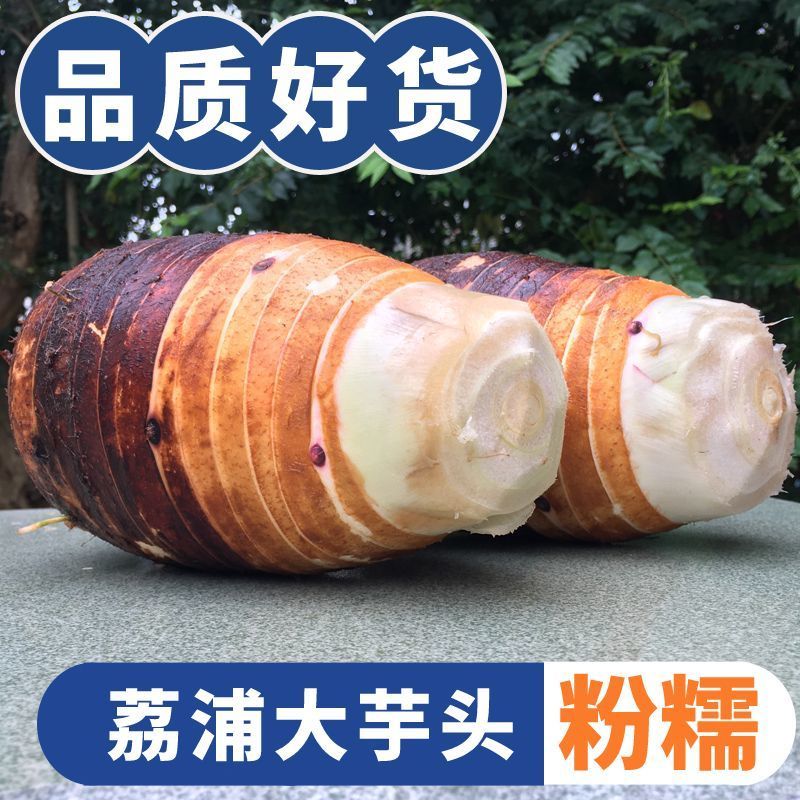 正宗荔浦广西桂林现挖芋头新鲜槟榔特产香芋紫心粉粉糯批发整箱
