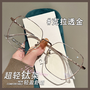 纯钛金丝大框文艺复古眼镜近视女款显瘦高级感素颜神器韩国眼睛架