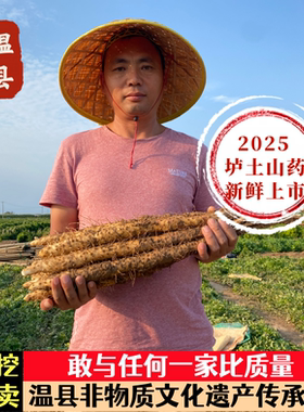 【鲜大叔】25年现挖山药新鲜35cm5斤装河南温县垆土铁棍粉糯辅食