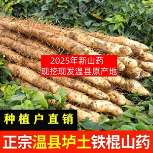 河南铁棍温县垆土宝宝辅食 25年新山药现挖45cm5斤装 鲜大叔