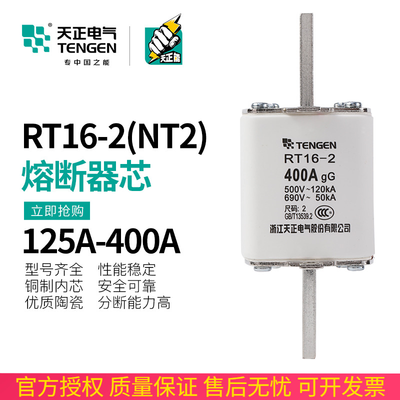TENGEN天正电气 RT16-2熔断器芯NT2 RT36-2保险丝315A 350A 400A