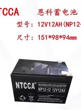 恩科NTCCA蓄电池NP20-12V20AH24AH65AH38AH100AH17应急UPS电源EPS