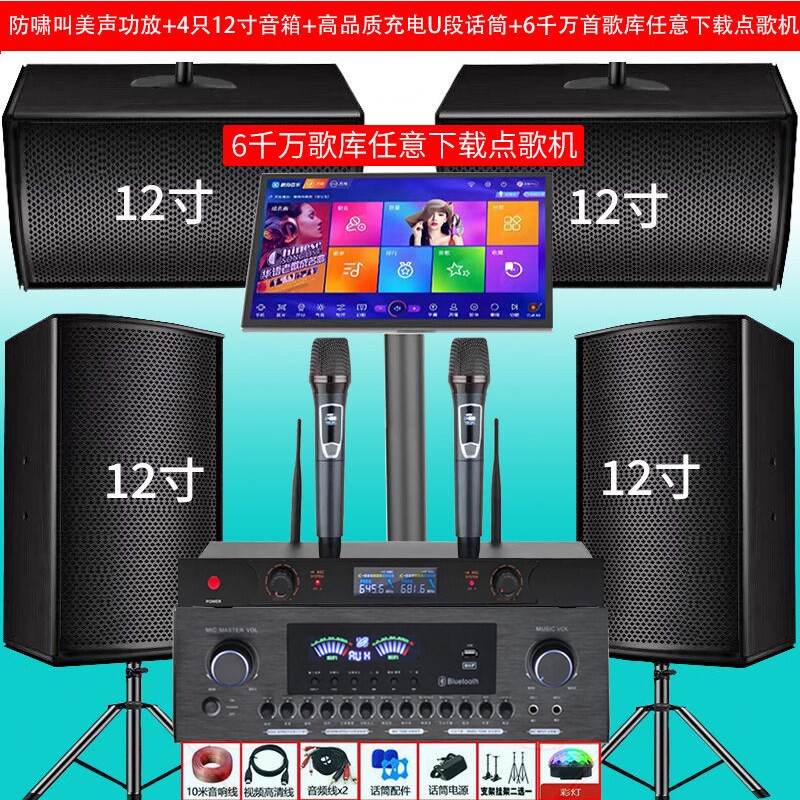 家庭KTV新款卡拉ok专业音箱ktv套会议蓝牙防啸叫低音炮装点歌机
