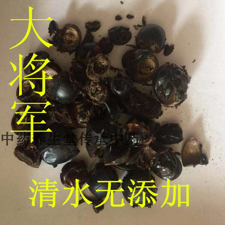 昆虫中药材 大将军 屎壳郎 蜣螂虫 清水 可打粉 500克/袋