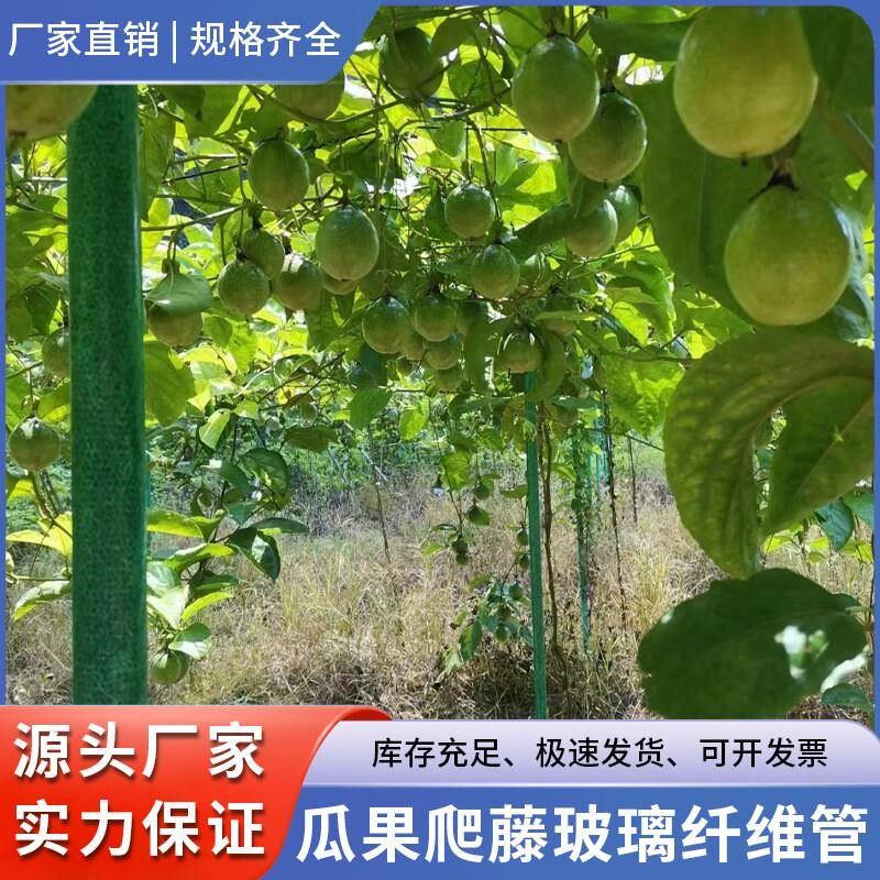 热销百香果立柱替代水泥柱绿色管子纤维管支架撑杆爬藤空心玻璃纤