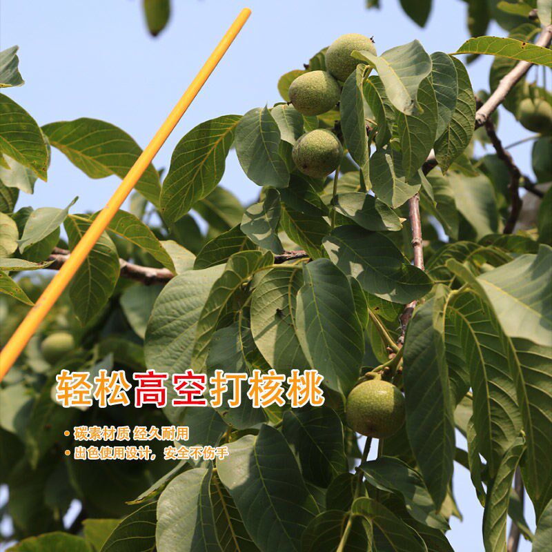 热销打山核桃专用伸缩杆子体杆碳素加厚硬质保年板栗加固多用