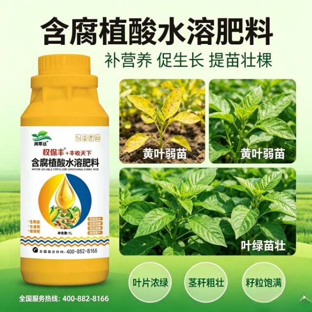 含腐植酸水溶肥料 叶面喷施黄叶变绿弱苗壮棵作物增产叶面肥