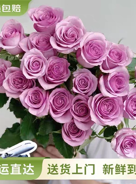 紫霞仙子玫瑰鲜花居家办公室水养鲜花