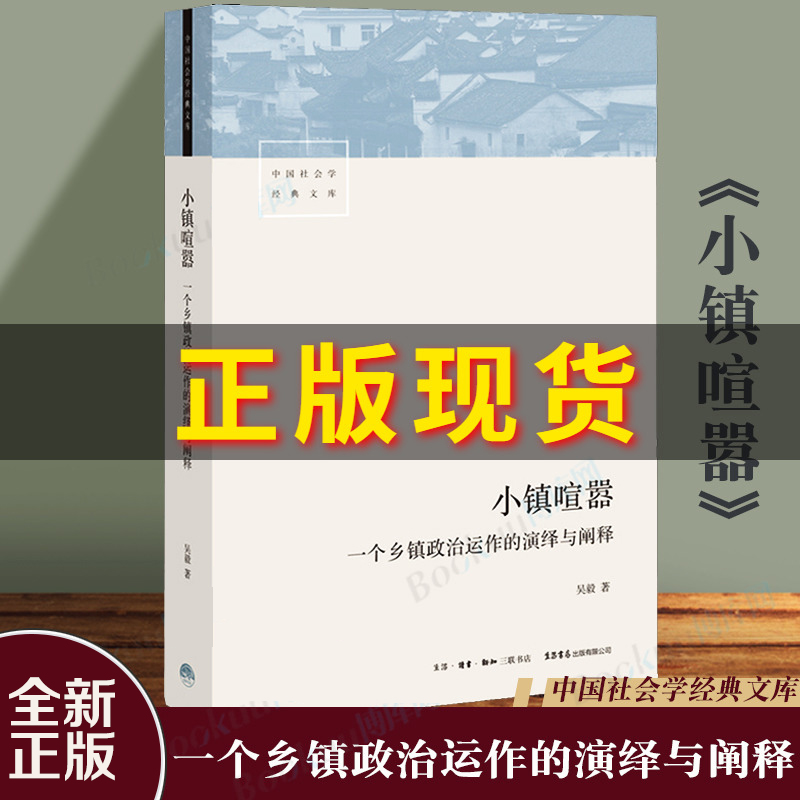 小镇喧嚣一个乡镇政治运作