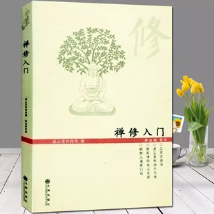 禅修入门 虚云老和尚/禅修方法参禅戒律学纲要禅定入门圣严法师教禅坐讲佛经禅宗入门禅者的初心禅的智慧学佛入门书籍