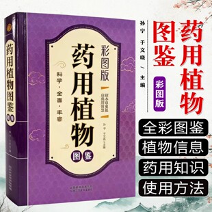 药用植物图鉴 彩图版 野菜野果识别与药用全图鉴 高清精编野外认采实用好学易上手书籍野外植物辨别与安全食用速查手册简单入门书