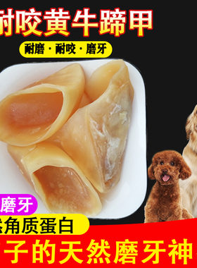 牛蹄壳狗狗零食磨牙棒骨头磨牙小型犬幼犬小狗玩具大型犬泰迪金毛