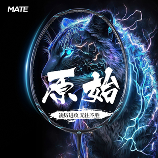 羽毛球拍正品 框形 全碳素5U专业级比赛速度进攻型内发泡1000Z同款