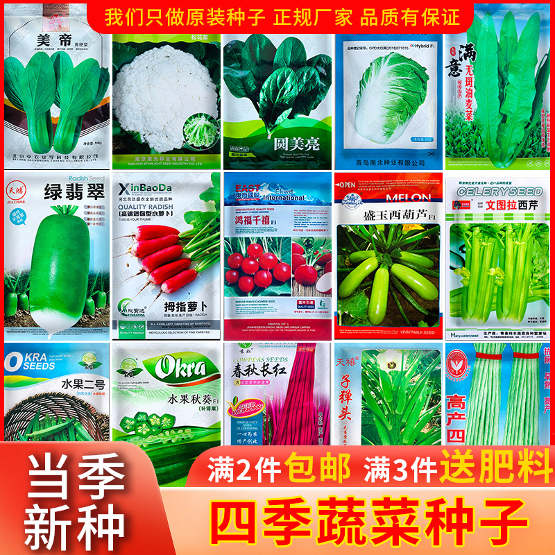 蔬菜种子四季播种阳台农家盆栽香菜菠菜生菜萝卜白菜秋葵葱孑大全