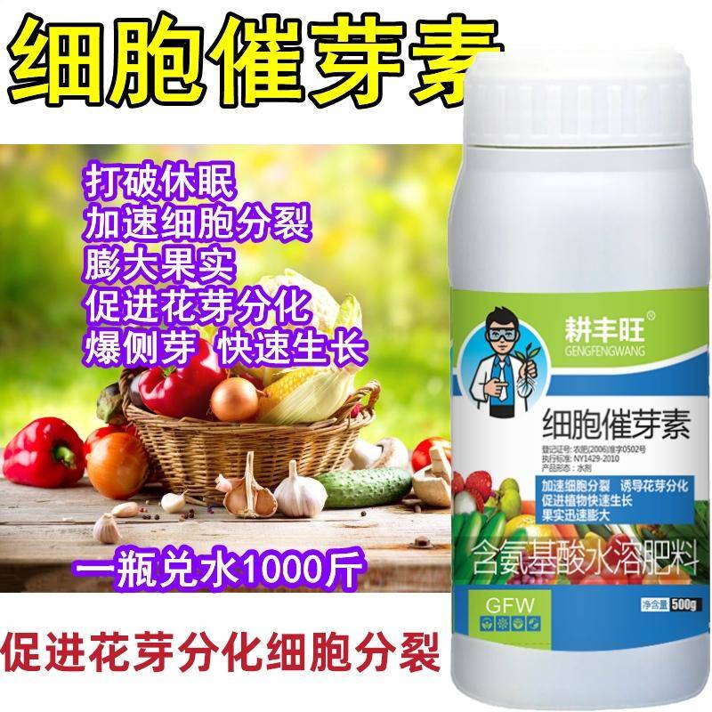 细胞分裂素叶面肥多肉爆芽素促花芽分化增产增收催芽促生长赤霉素