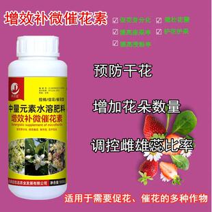 授粉坐果精受粉催花剂促花坐果灵君子兰开花保花保果药防落果肥料